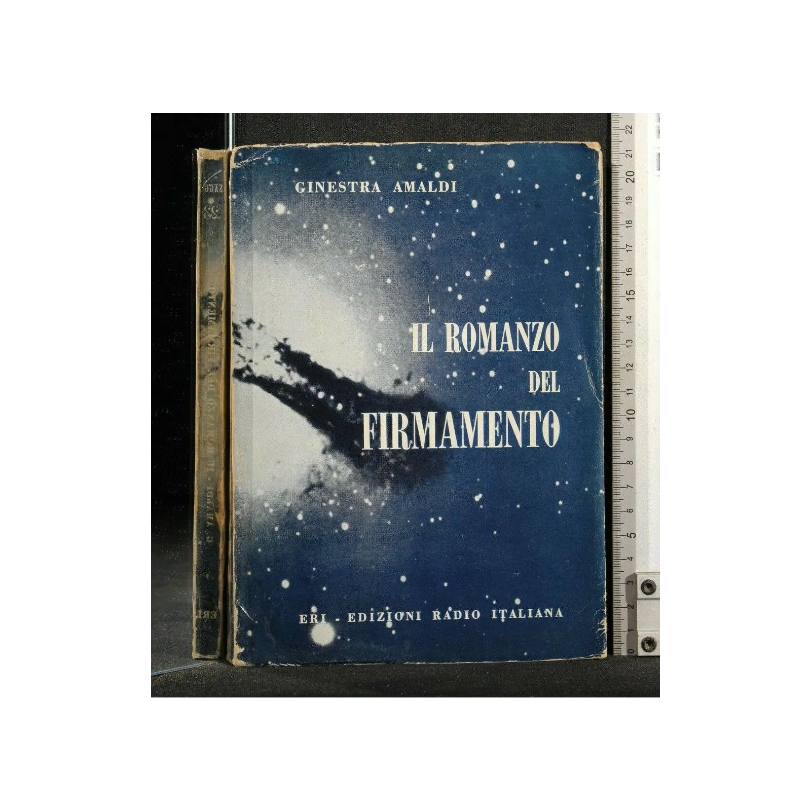 IL ROMANZO DEL FIRMAMENTO