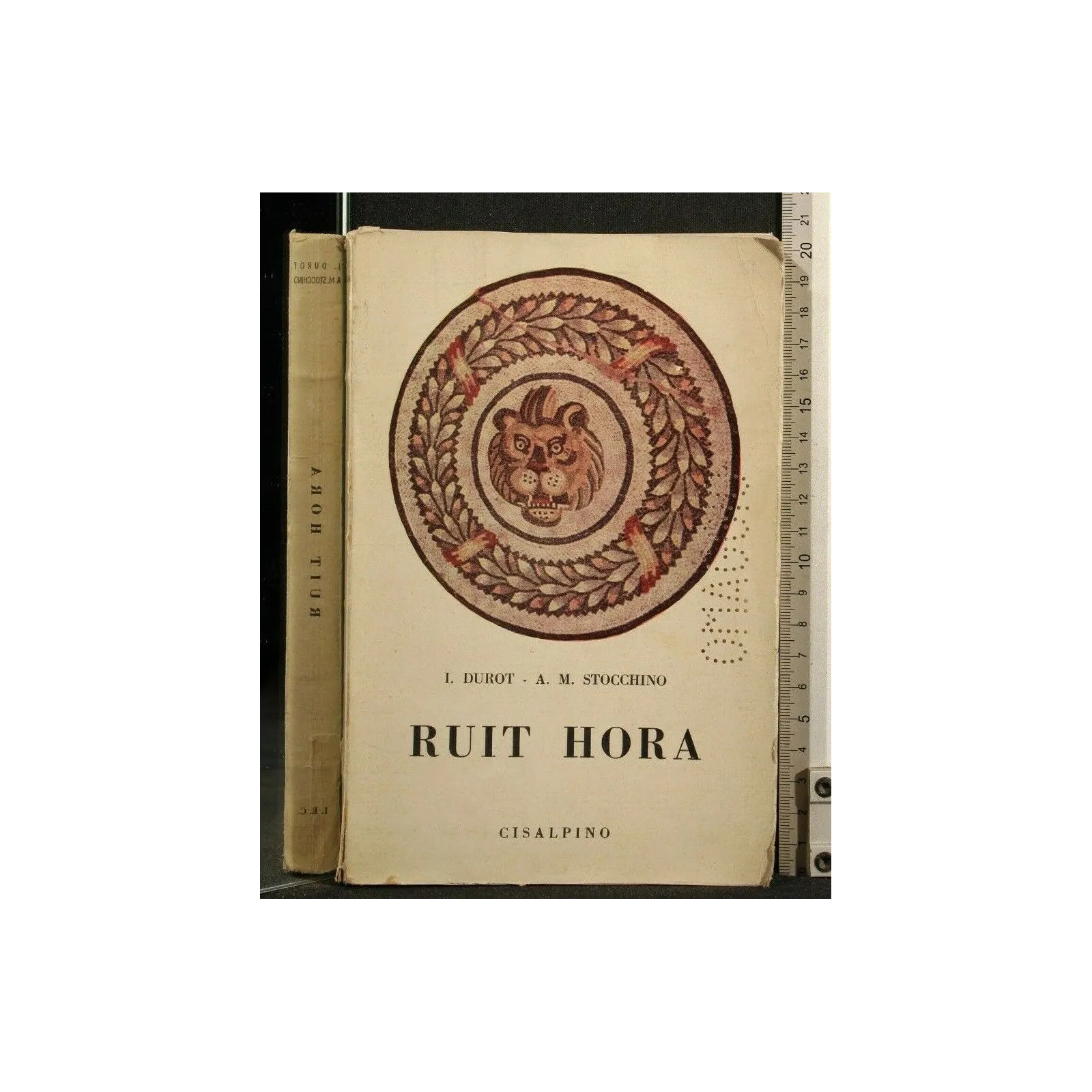 RUIT HORA ANTOLOGIA LATINA