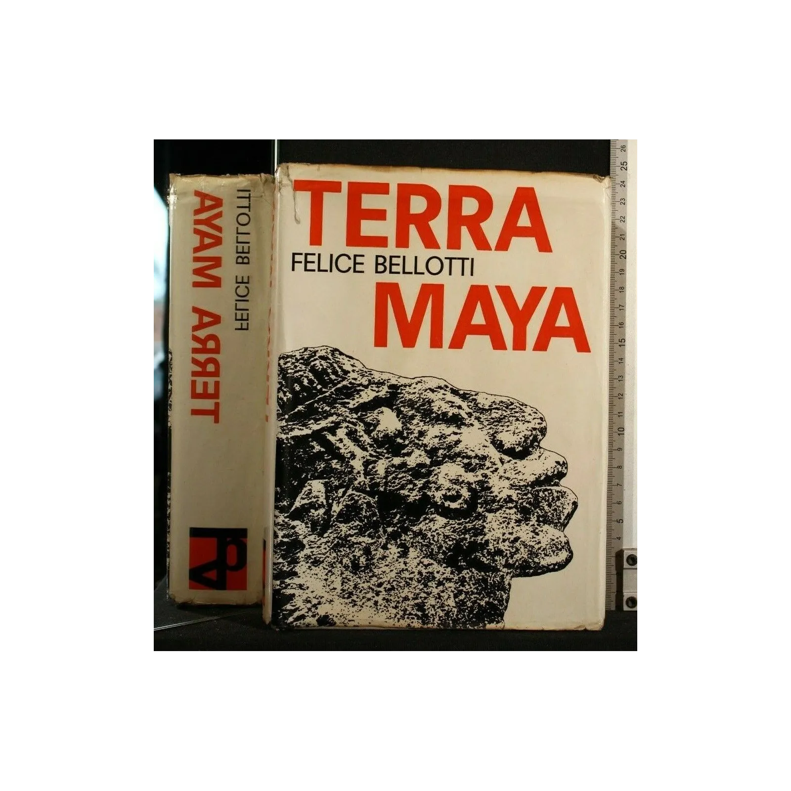 TERRA MAYA