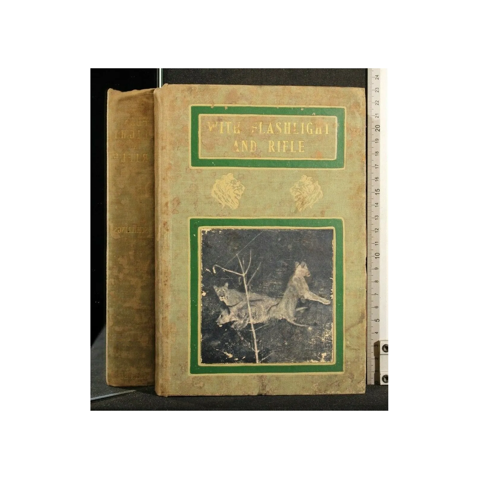 WITH FLASHLIGHT AND RIFLE