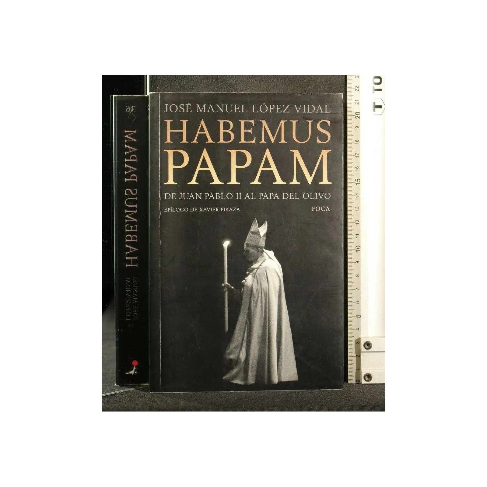 HABEMUS PAPAM