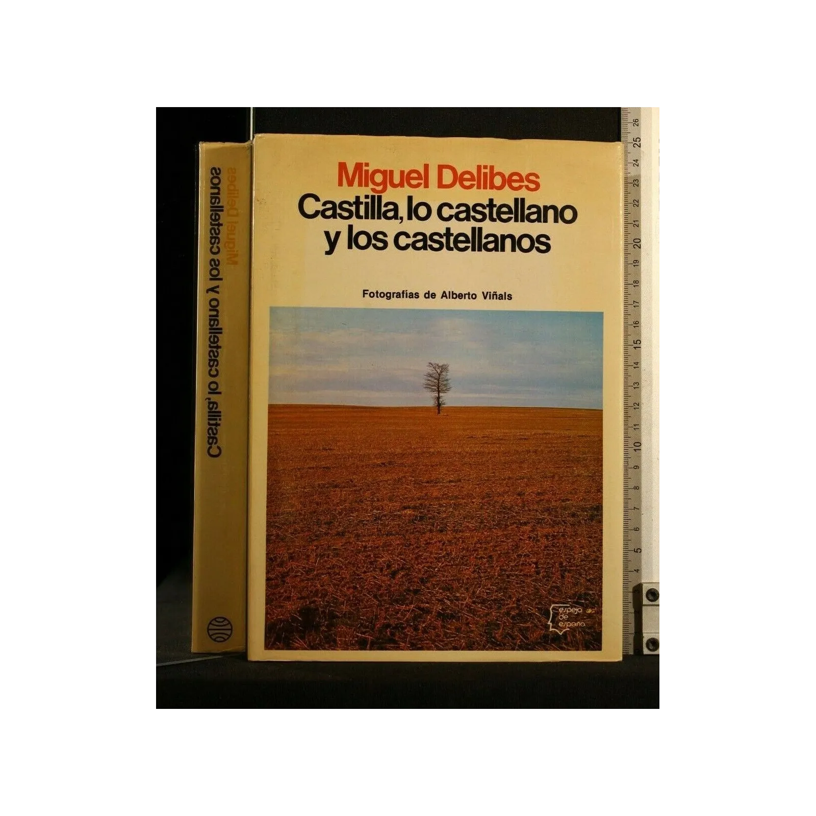 CASTILLA, LO CASTELLANO Y LOS CASTELLANOS