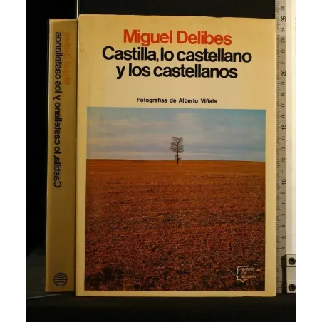 CASTILLA, LO CASTELLANO Y LOS CASTELLANOS