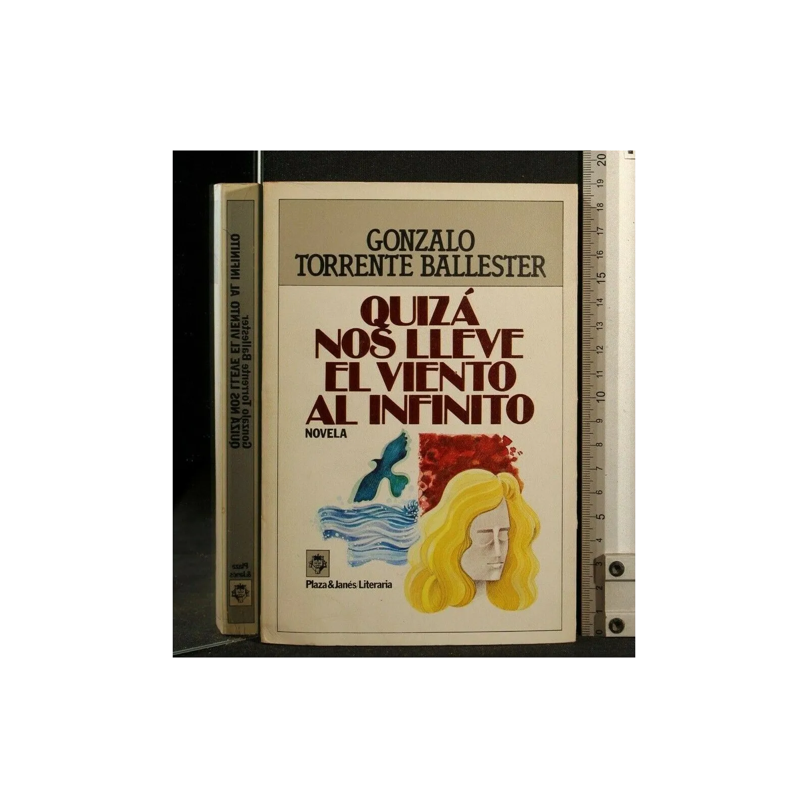 QUIZA NOS LLEVE EL VIENTO AL INFINITO