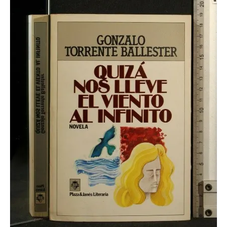 QUIZA NOS LLEVE EL VIENTO AL INFINITO