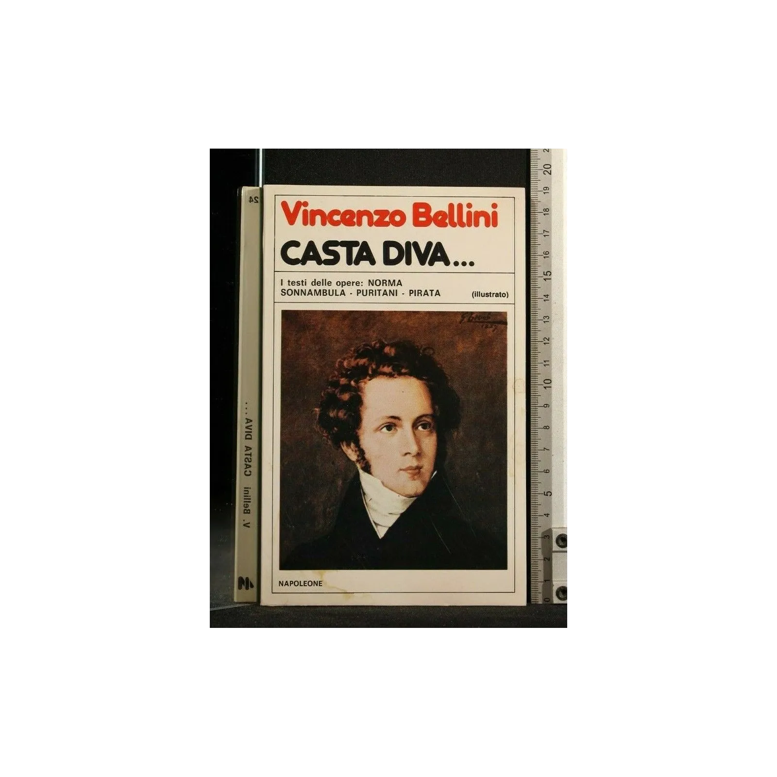 CASTA DIVA...