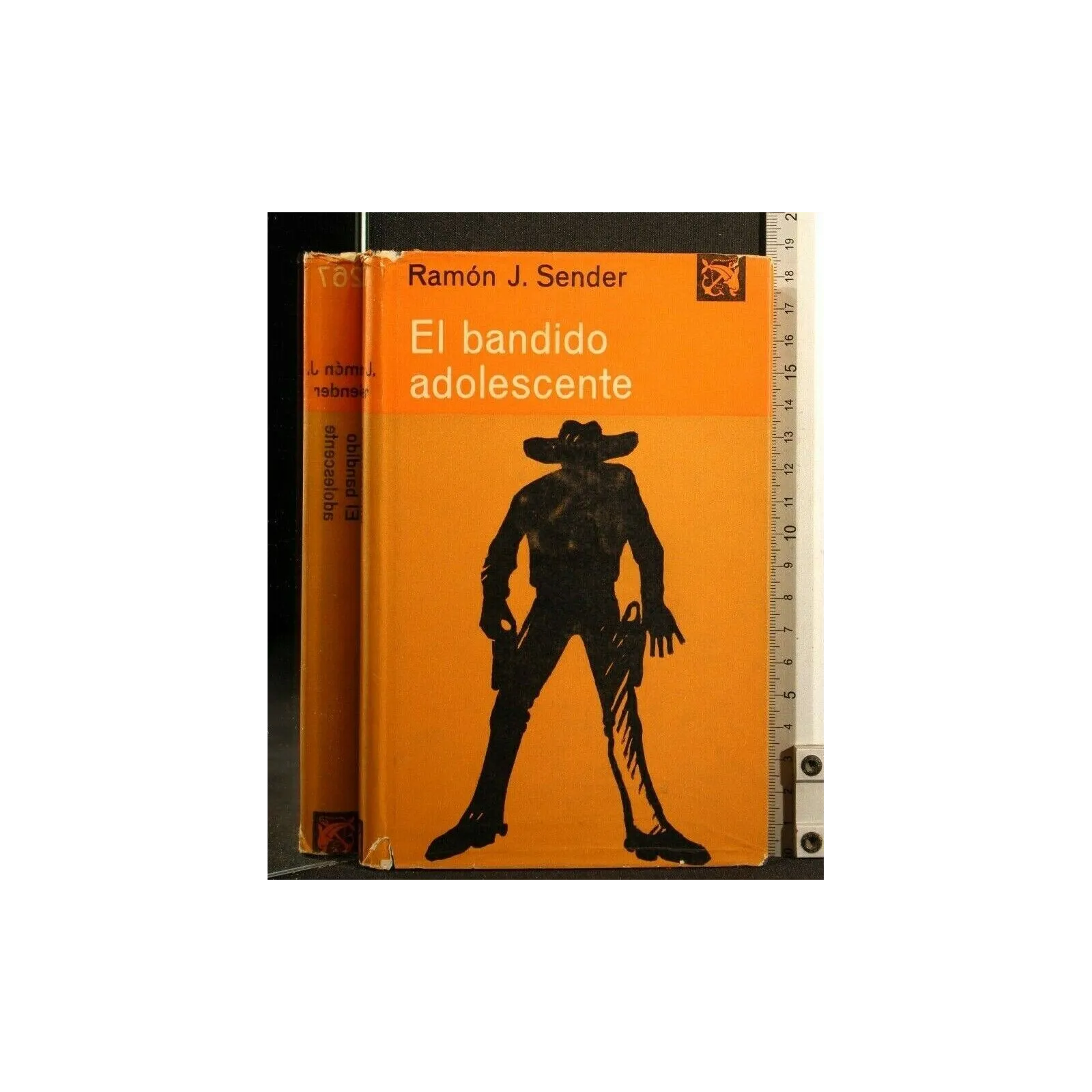 EL BANDIDO ADOLESCENTE