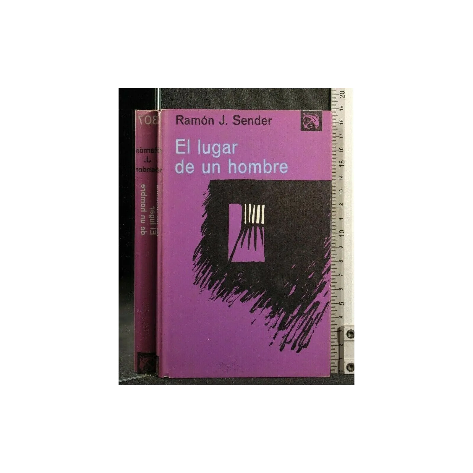 EL LUGAR DE UN HOMBRE