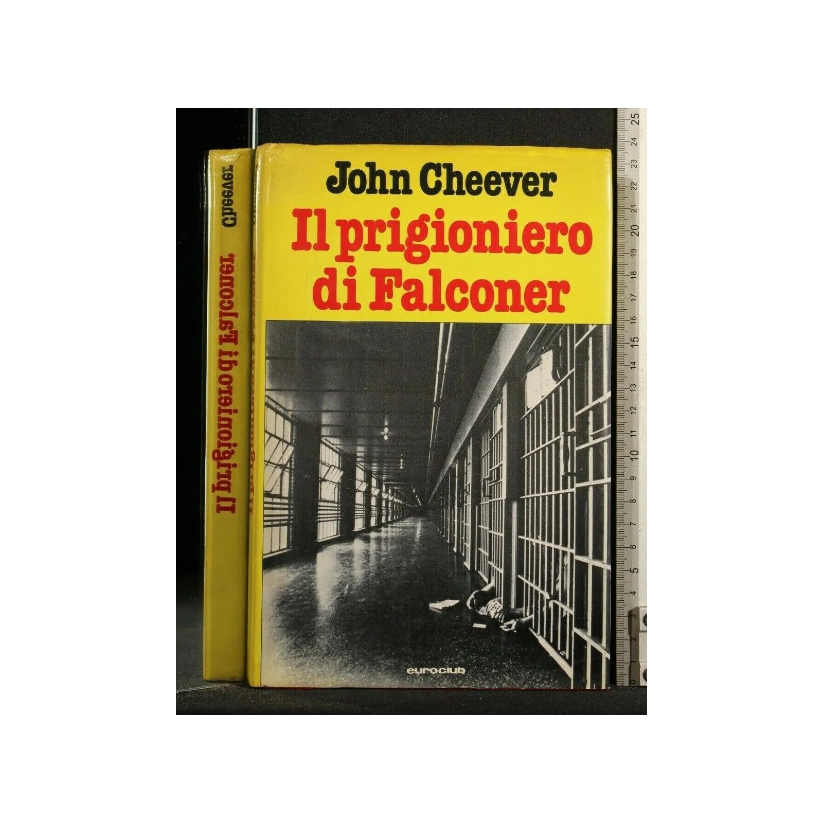 IL PRIGIONIERO DI FALCONER