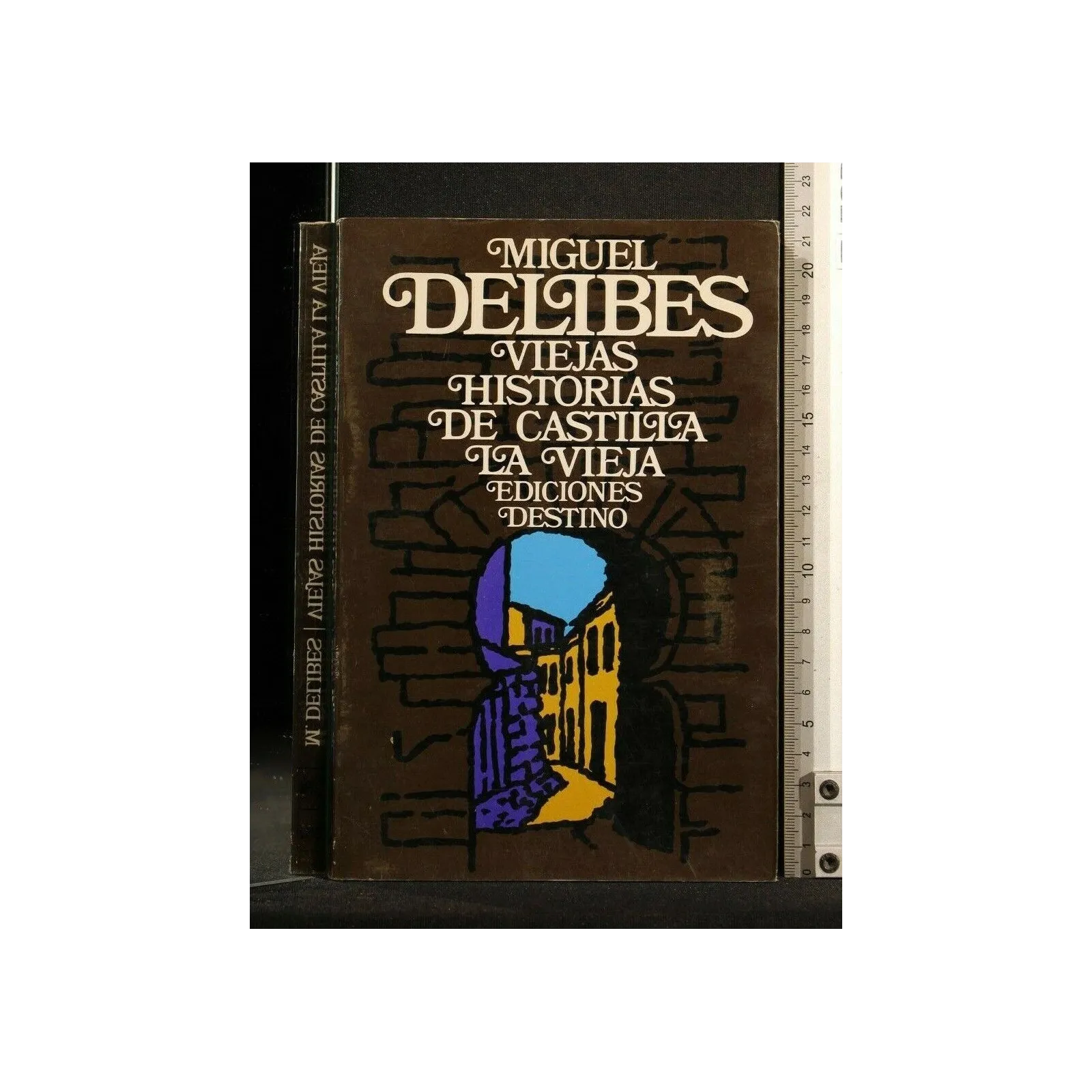 VIEJAS HISTORIAS DE CASTILLA LA VIEJA