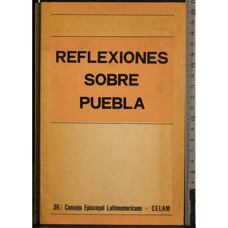 Reflexiones sobre puebla