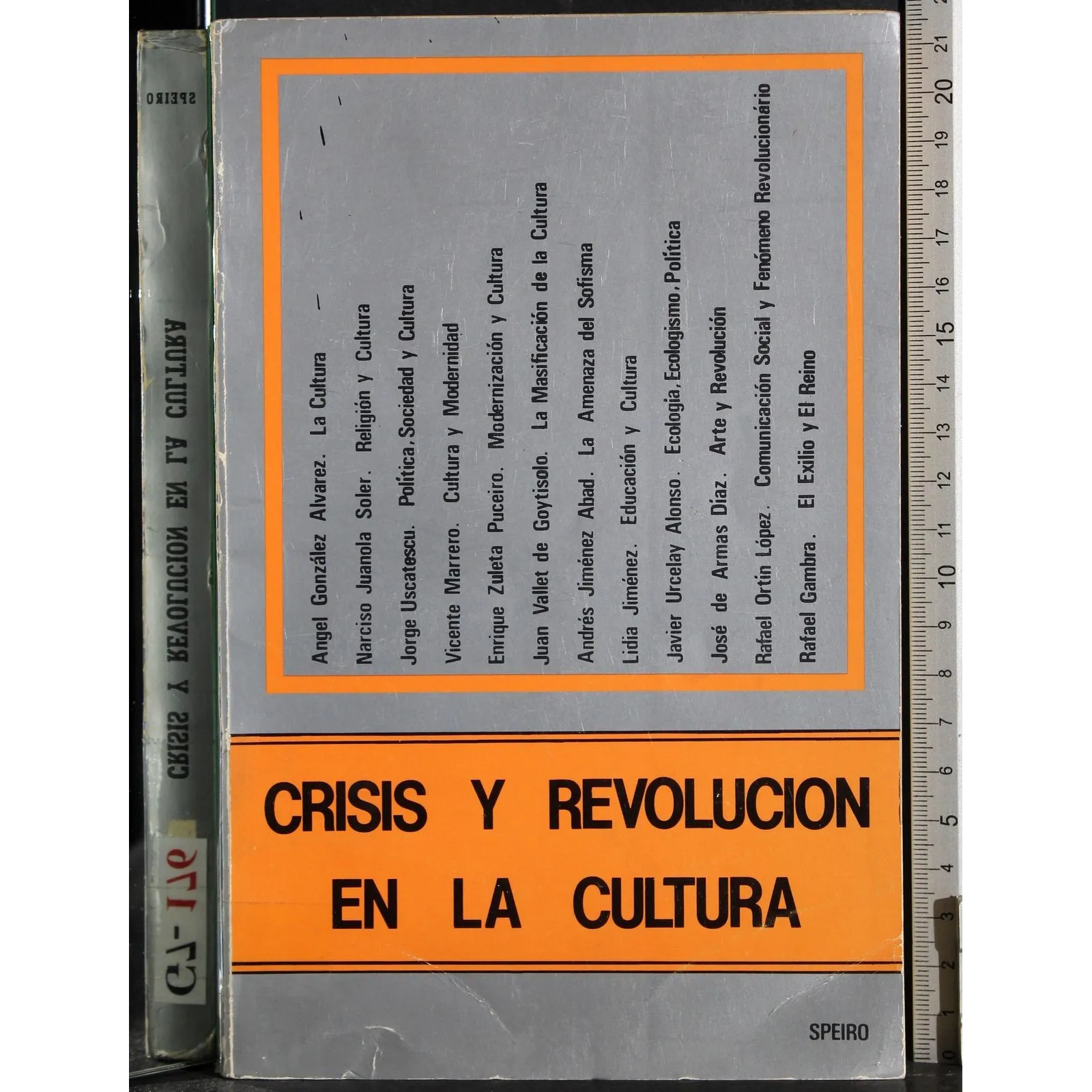 Crisis y revolucion en la cultura