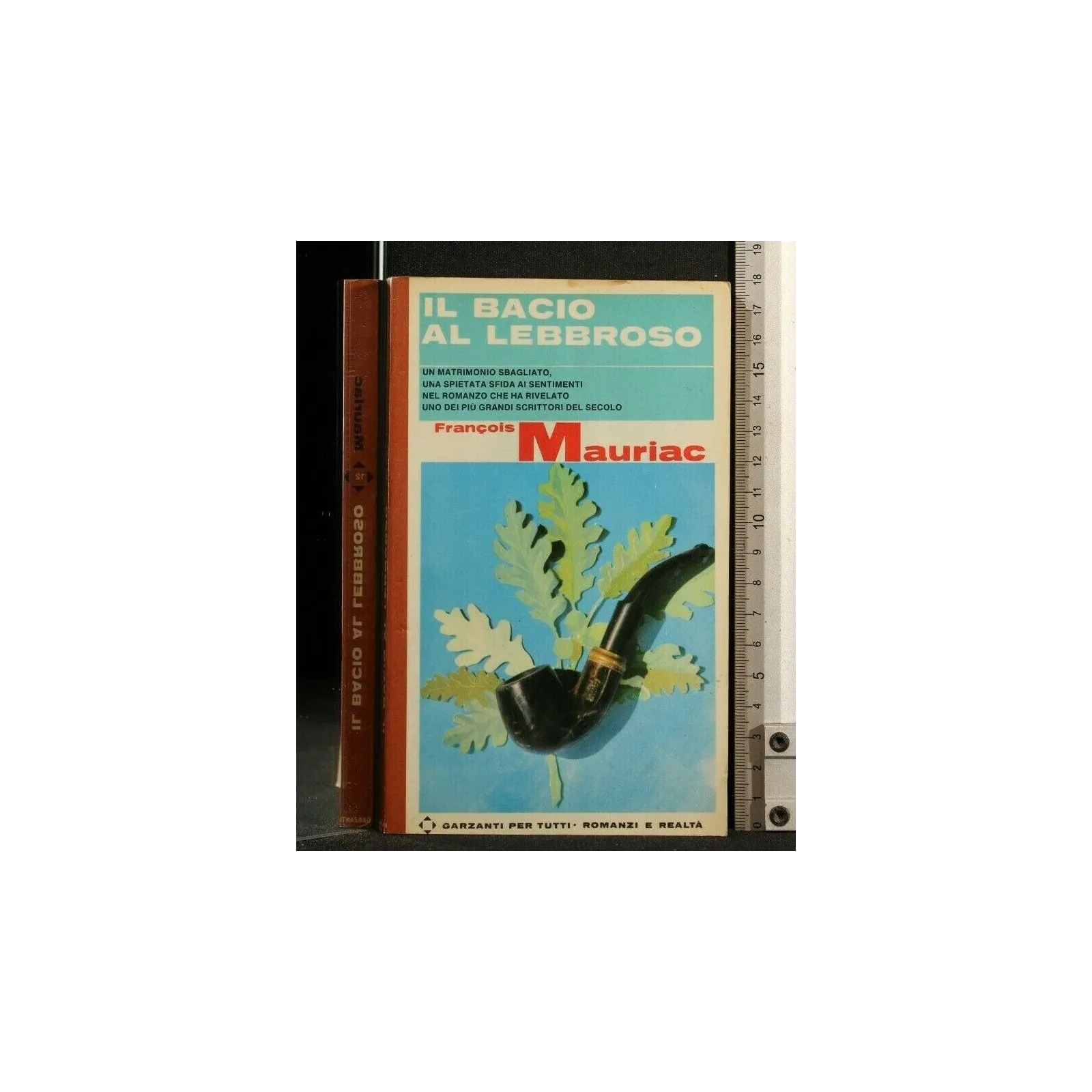 IL BACIO AL LEBBROSO