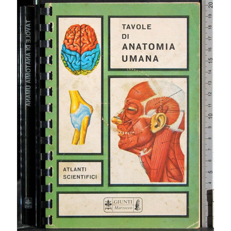 Tavole di anatomia umana