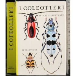 I coleotteri
