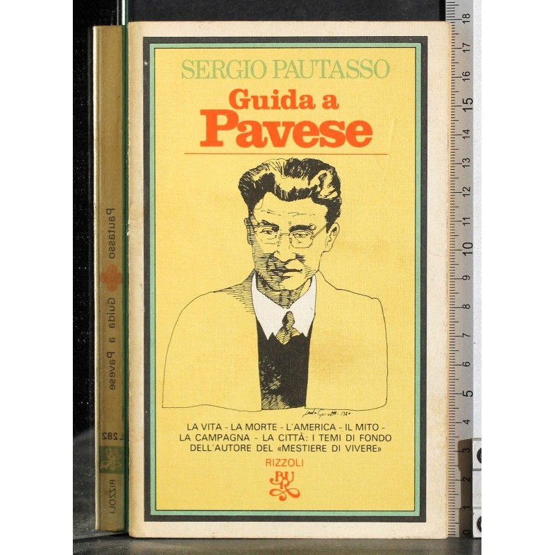 Guida a Pavese
