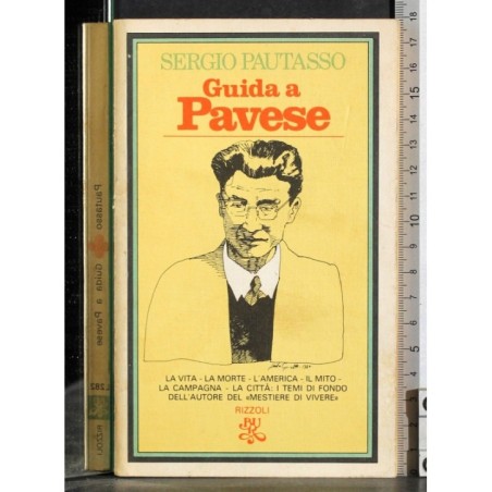 Guida a Pavese