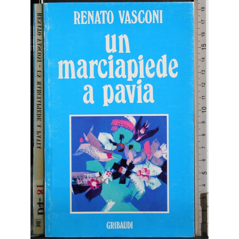 Un marciapiede a Pavia