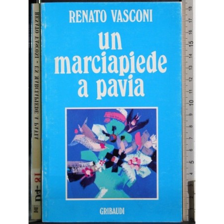 Un marciapiede a Pavia
