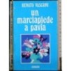Un marciapiede a Pavia