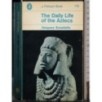 The daily life of the Aztecs