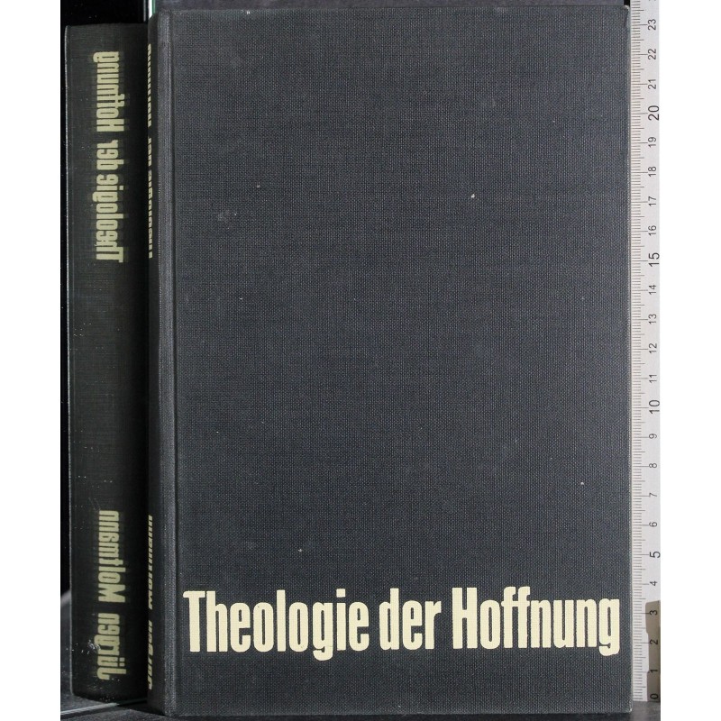 Theologie der hoffnung