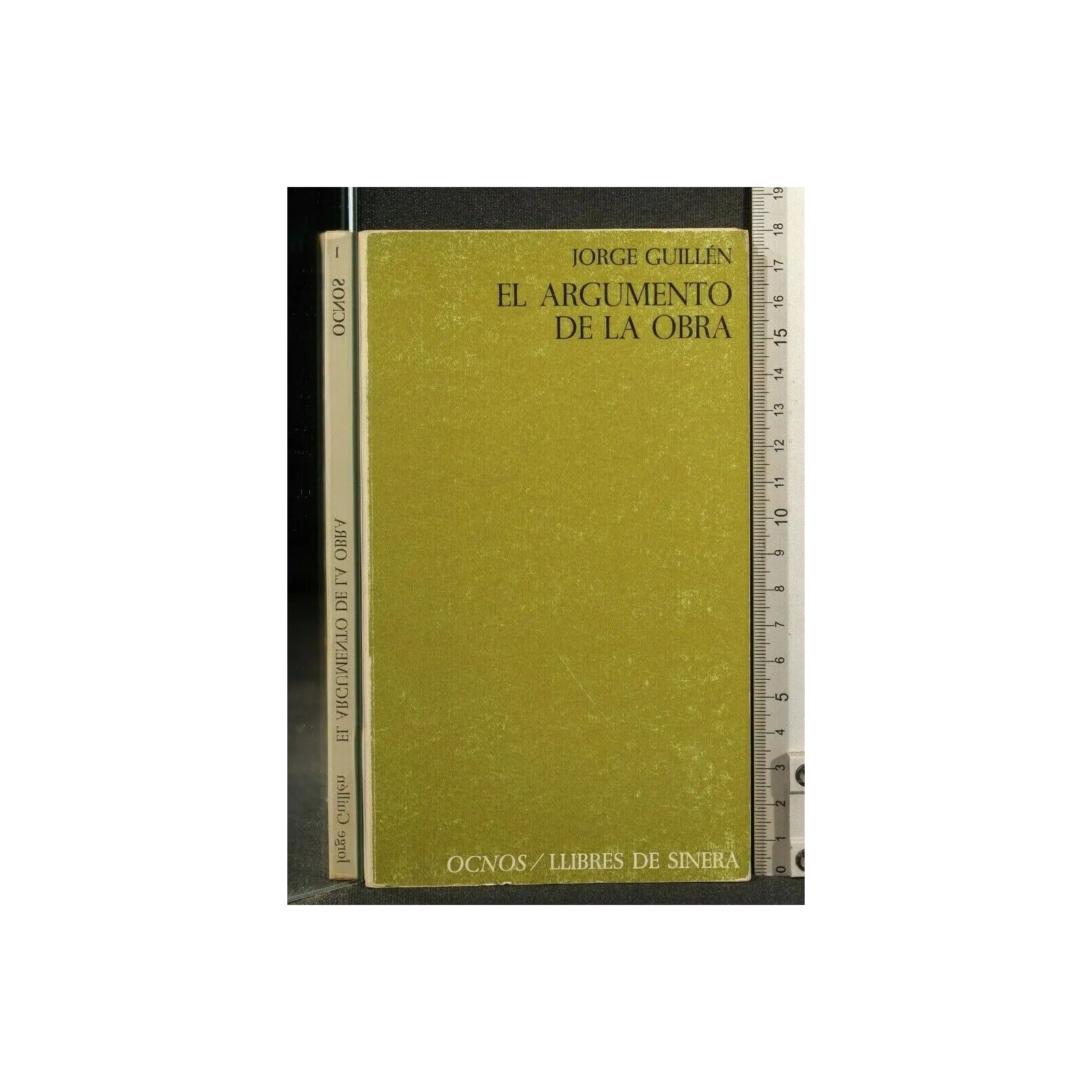 EL ARGUMENTO DE LA OBRA