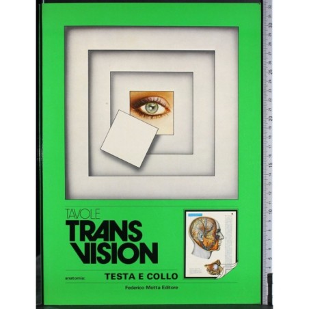 Tavole Trans vision. Testa e collo