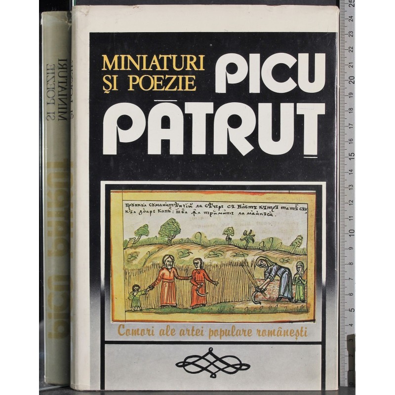 Picu patrut Miniaturi si poezie