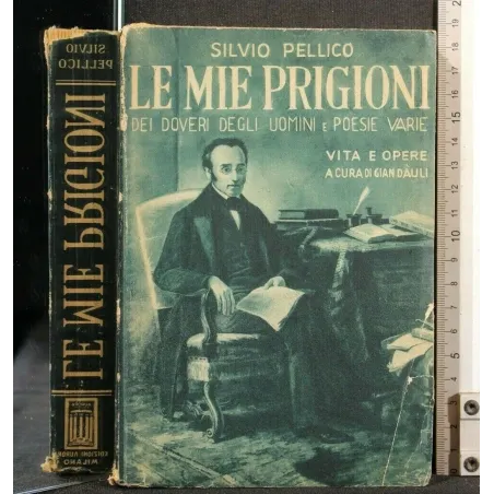 LE MIE PRIGIONI