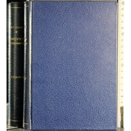 La divina commedia. Vol III Paradiso