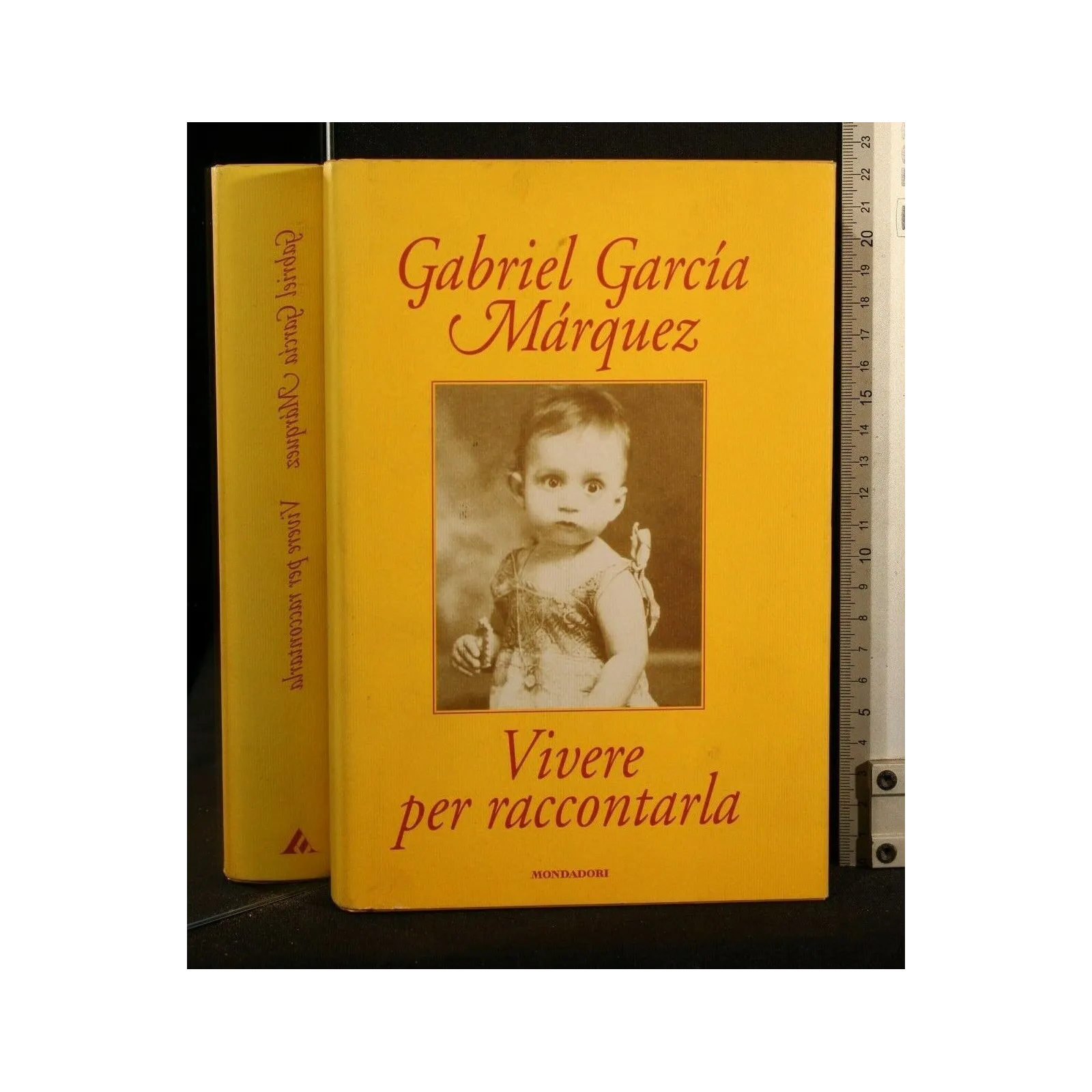 VIVERE PER RACCONTARLA