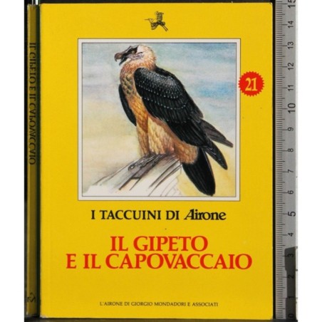 I Taccuini di Airone. Il gipeto e il capovaccaio