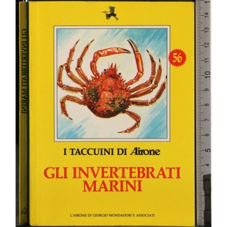 I Taccuini di Airone. Gli invertebrati marini