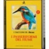 I Taccuini di Airone. I passeriformi del fiume