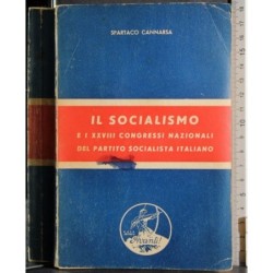 Il socialismo