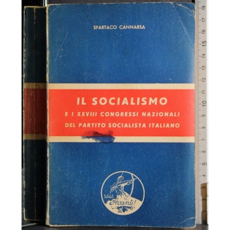 Il socialismo