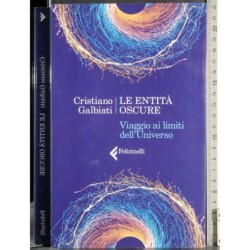 Le entità oscure. Viaggio ai limiti dell'Universo