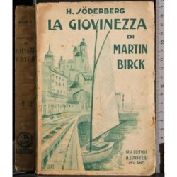 La giovinezza di Martin Birck