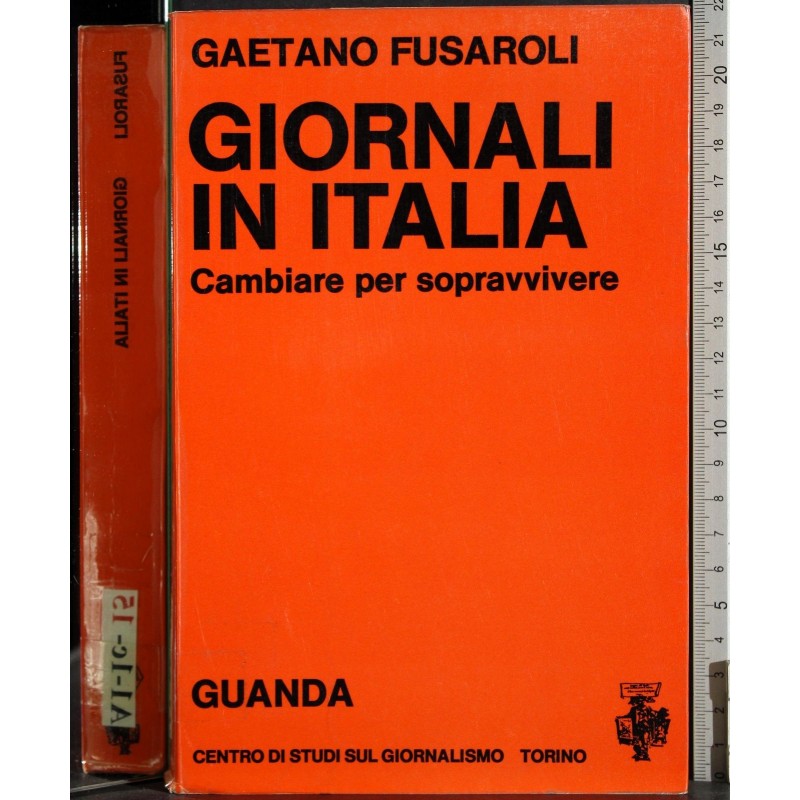 Giornali in Italia. Cambiare per sopravvivere