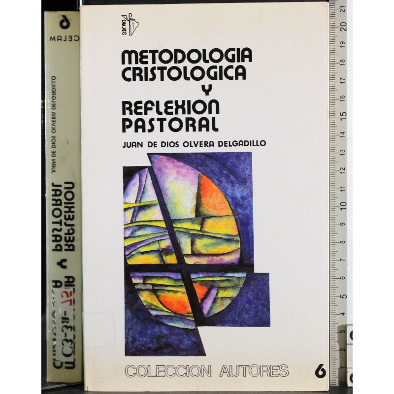 Metodologia cristologica y reflexion pastoral