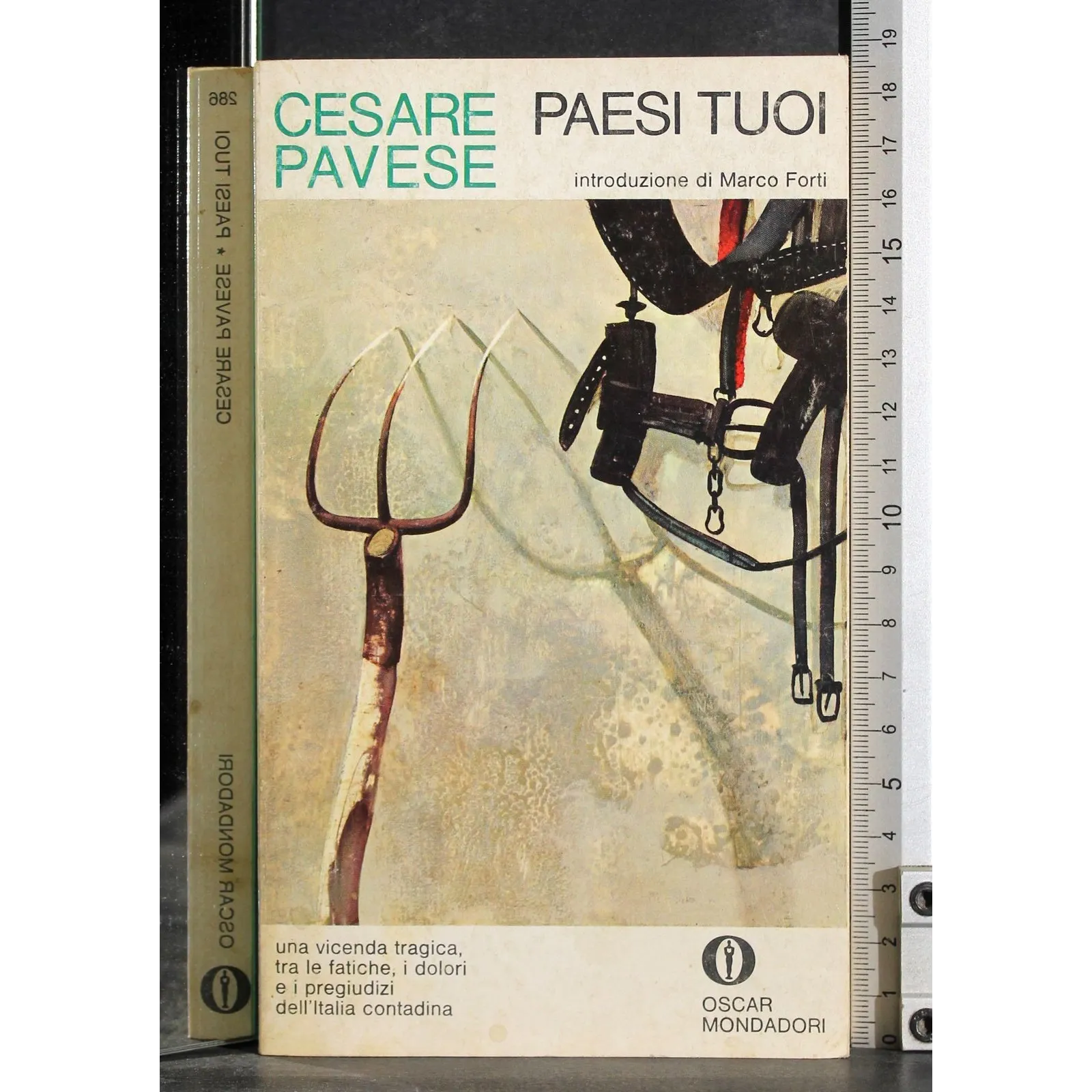 Paesi tuoi
