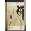 Paesi tuoi