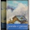 Poesia e prosa