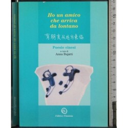 Ho un amico che arriva da lontano. Poesie cinesi