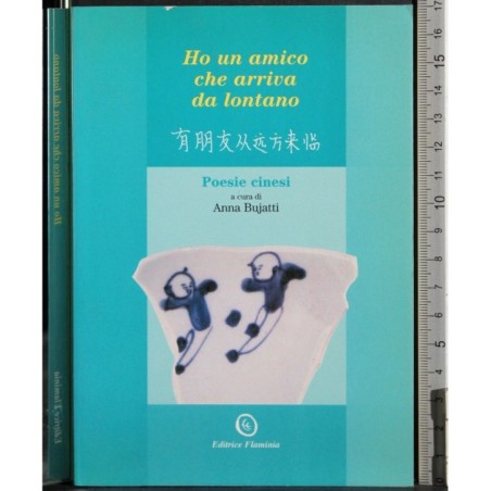 Ho un amico che arriva da lontano. Poesie cinesi