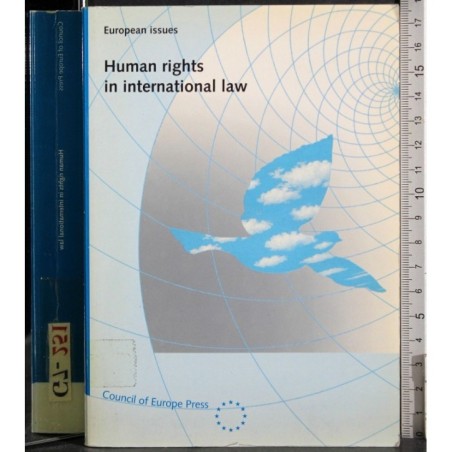 Human rights in international law