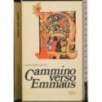 Cammino verso Emmaus