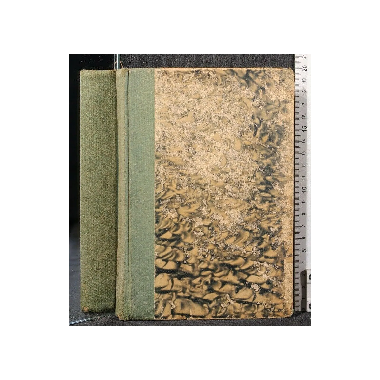 ANTOLOGIA EPOPEA OMERICA (ILIADE E ODISSEA)