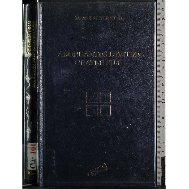 Abundantes divitiae gratiae suae